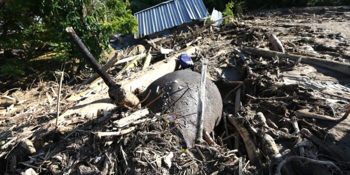 Berita Satgas PKH Sebut Ada 31 Perusahaan Diduga Penyebab Bencana Sumatra Berita Satgas PKH Sebut Ada 31 Perusahaan Diduga Penyebab Bencana Sumatra