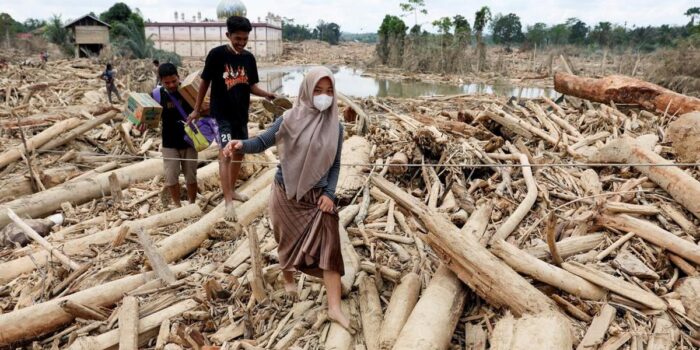 Berita Temuan Terkini soal Pembalakan Liar di Hutan Sumatra Penyebab Banjir Berita Temuan Terkini soal Pembalakan Liar di Hutan Sumatra Penyebab Banjir