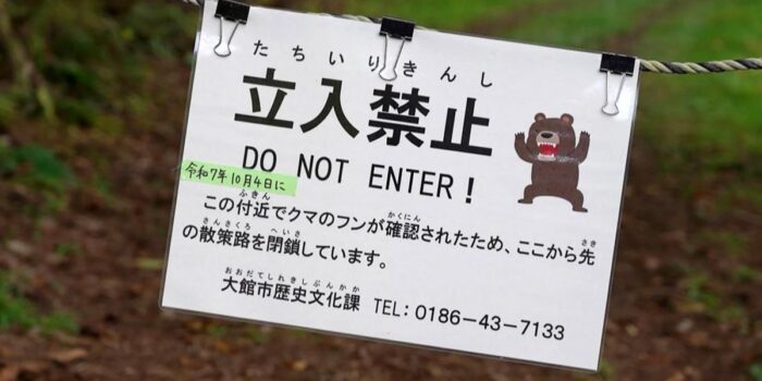 Berita Jepang Pakai Robot Serigala Mata Merah Usir Beruang Liar Berita Jepang Pakai Robot Serigala Mata Merah Usir Beruang Liar