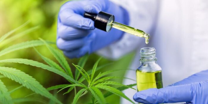 Berita Alasan Trump Perintahkan Longgarkan Aturan Ganja: Permudah Riset Medis