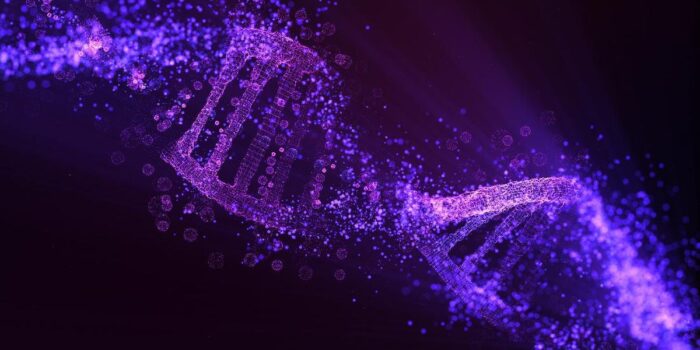 Berita Pemerintah Tes DNA Keluarga Jemaah Haji 2025 yang Ghoib Berita Pemerintah Tes DNA Keluarga Jemaah Haji 2025 yang Ghoib