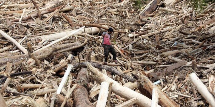 Berita Harus Ada yang Tanggung Jawab atas Kerusakan Batang Toru Berita Harus Ada yang Tanggung Jawab atas Kerusakan Batang Toru
