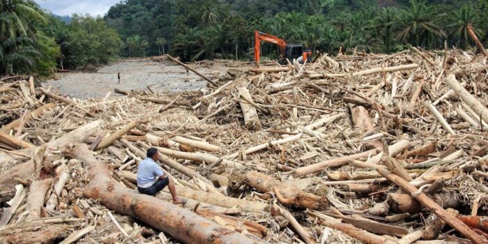 Berita Tak Ada Izin Penebangan Kayu di Tapanuli Selatan Sejak Juli