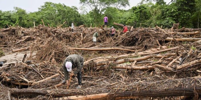 Berita Kemenhut Percepat Pembersihan Kayu di Daerah Terdampak Banjir Sumatera
