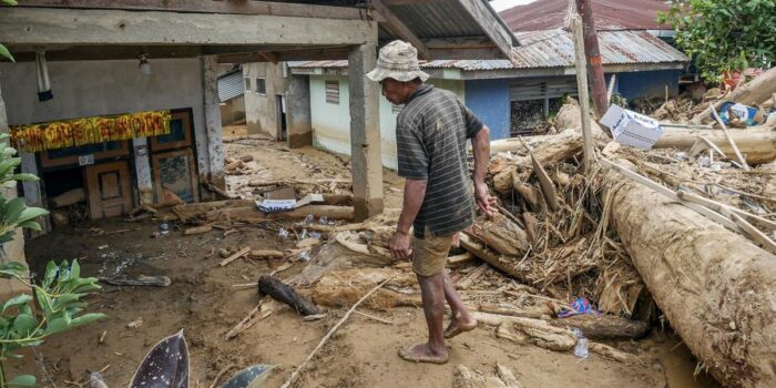 Berita IMM Dorong Perbaikan Hutan Lewat Timsus Kayu Gelondongan Menhut