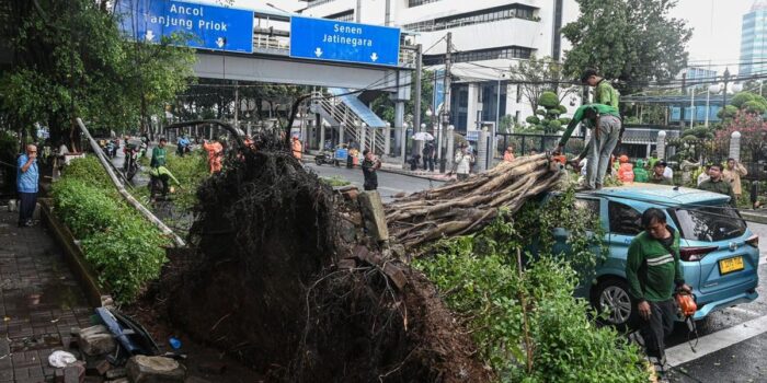 Berita Hujan Badai, 3 Pohon di Jakbar Tumbang hingga 10 RT Banjir Berita Hujan Badai, 3 Pohon di Jakbar Tumbang hingga 10 RT Banjir
