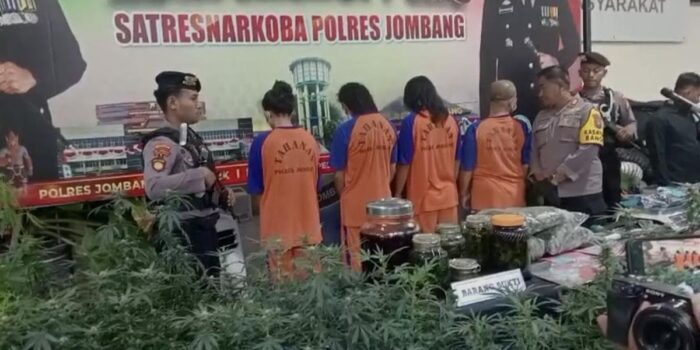 Berita Pasutri Diduga Otak Rumah Greenhouse Ganja di Jombang Ditangkap Berita Pasutri Diduga Otak Rumah Greenhouse Ganja di Jombang Ditangkap