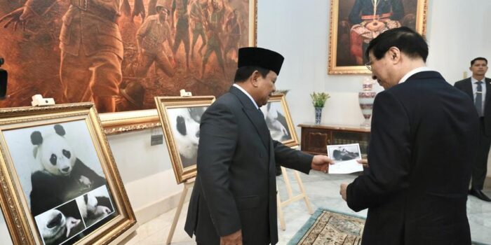 Berita Prabowo Pamer Bayi Panda ‘Satrio’ yang Baru Lahir ke Ketua MPR China Berita Prabowo Pamer Bayi Panda ‘Satrio’ yang Baru Lahir ke Ketua MPR China