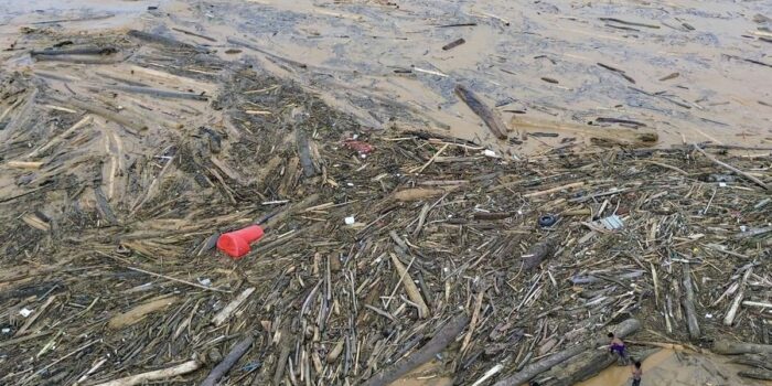 Berita Gelondongan Kayu dari Sumbar Terdampar di Lampung, Polisi Selidiki