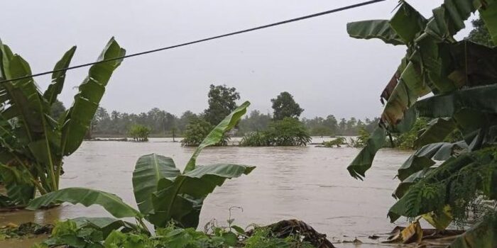 Berita Sungai Batang di Agam Meluap Lagi, Kayu Gelondongan Tumpah ke Jalan