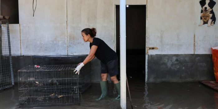 Berita Ancaman Siklon, Warga Bali Diminta Siapkan Tas Khusus Barang Berharga