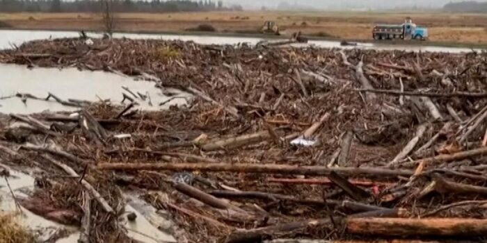 Berita Gelondongan Kayu Penuhi Sungai di Washington AS yang Meluap usai Badai