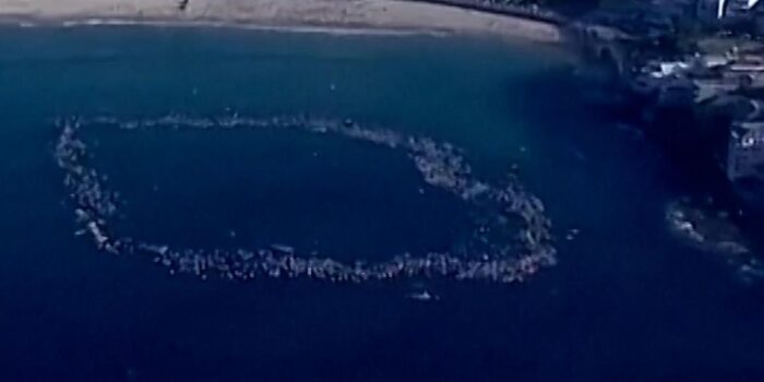 Berita Peselancar dan Perenang Hormati Korban Penembakan Sydney Berita Peselancar dan Perenang Hormati Korban Penembakan Sydney