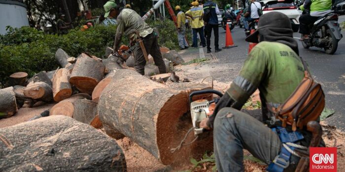 Berita DKI Jakarta Buka Posko Pohon Tumbang, Warga Diminta Laporkan Bahaya