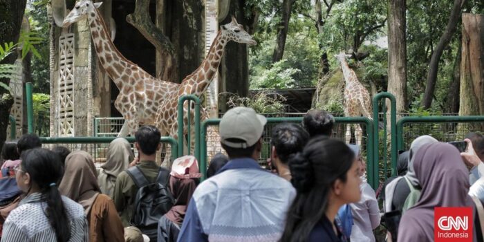 Berita 113.398 Wisatawan Padati Ragunan di Libur Awal Tahun Baru 2026