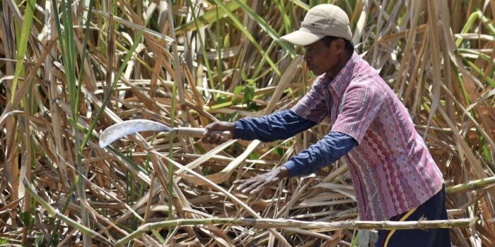 Berita Kejagung-KPK Usut Dugaan Korupsi Penerbitan HGU Gula di Lahan TNI AU