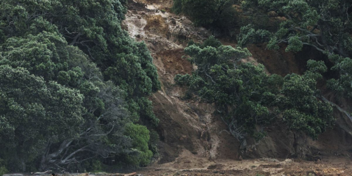 Berita Pencarian Korban Hilang Longsor Selandia Baru Terkendala Kondisi Medan