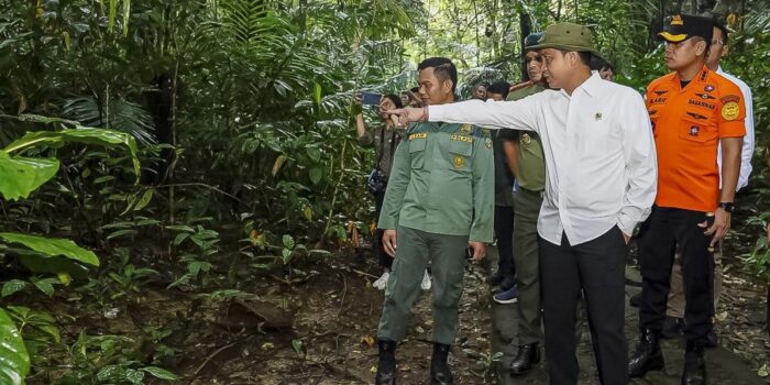 Berita Menhut Sebut Jumlah Spesies Kupu-kupu Naik 114 Persen di Bantimurung Berita Menhut Sebut Jumlah Spesies Kupu-kupu Naik 114 Persen di Bantimurung