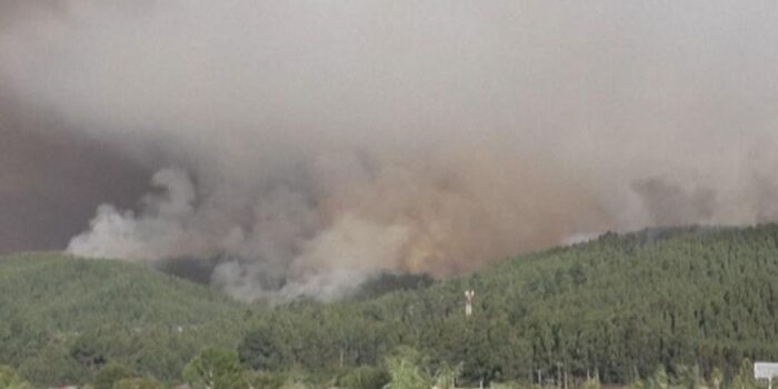 Berita Chile Dilanda Kebakaran Hutan Besar, 18 Orang Tewas