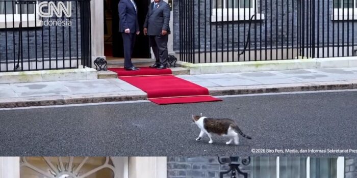 Berita Momen Prabowo Disambut Larry The Cat Setibanya di Kantor PM Inggris