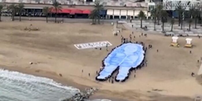 Berita Aktivis Gelar Potret Raksasa Gadis Palestina di Pantai Barcelona Berita Aktivis Gelar Potret Raksasa Gadis Palestina di Pantai Barcelona