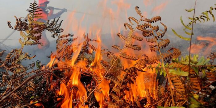 Berita Karhutla di Aceh Barat Semakin Meluas