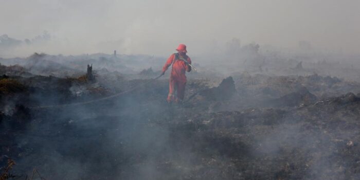 Berita Kebakaran Hutan di Aceh Barat Meluas hingga 50 Hektare, Belum Padam Berita Kebakaran Hutan di Aceh Barat Meluas hingga 50 Hektare, Belum Padam