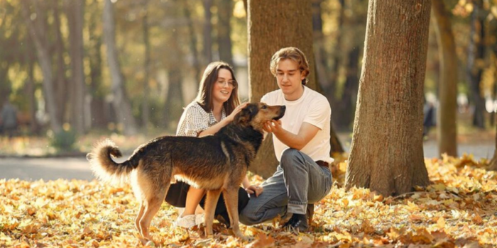 Berita Pria Italia Latih Anjing untuk Buang Sampah Secara Ilegal