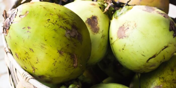 Berita Viral Kelapa Utuh Jadi Menu MBG di Kaltim, SPPG Beri Klarifikasi Berita Viral Kelapa Utuh Jadi Menu MBG di Kaltim, SPPG Beri Klarifikasi