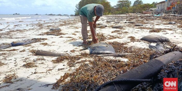 Berita Nelayan Bintan Resah Akibat Pencemaran Karung Isi Limbah Minyak Hitam