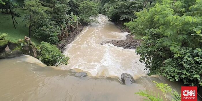 Berita Air PDAM Tercemar, Ikan Keracunan