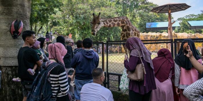 Berita Kebun Binatang Surabaya Tetap Buka Usai Digeledah Kejati Jatim