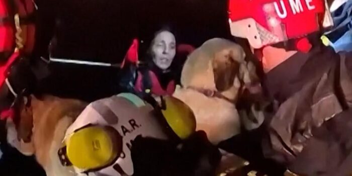 Berita Momen Evakuasi Warga dan Hewan Terjebak Banjir Badai Leo di Spanyol