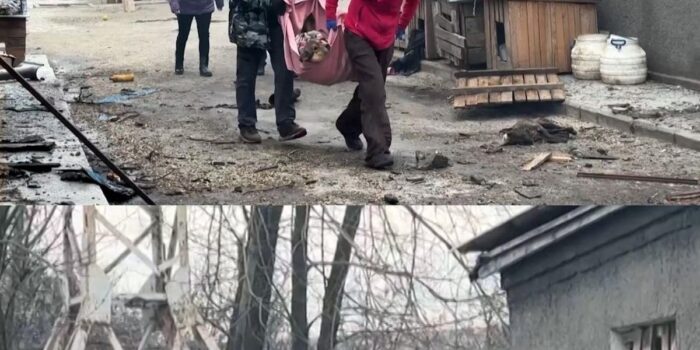 Berita Drone Rusia Serang Shelter Hewan di Ukraina, 8 Anjing Jadi Korban