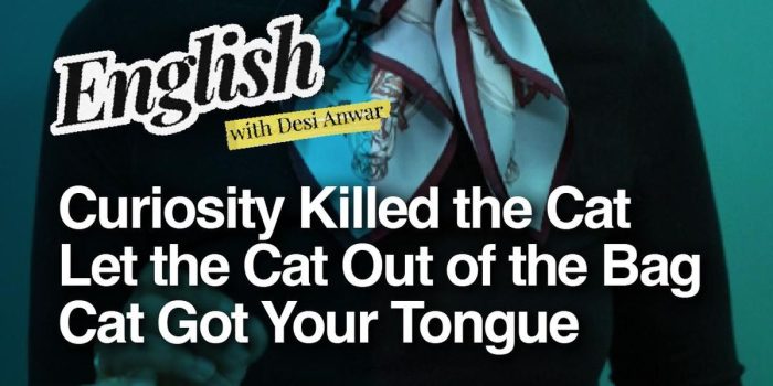 Berita Ada Lho Idiom yang Pakai Kata ‘Cat’, Ini Artinya