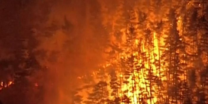 Berita Kebakaran Hutan di Prefektur Iwate Jepang, 1.800 Warga Mengungsi