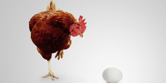 Berita Hakim di China Sarankan Pasangan Makan 29 Ekor Ayam di Sidang Cerai