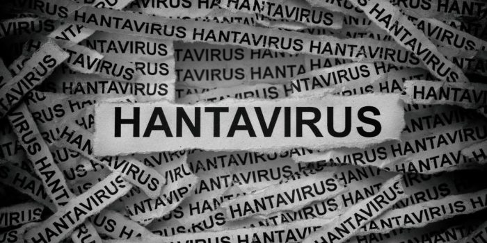 Berita Daftar Negara di Asia Terpapar Hantavirus