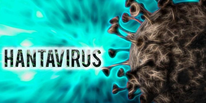 Berita Penumpang Kapal Wabah Hantavirus Dikarantina di Taiwan