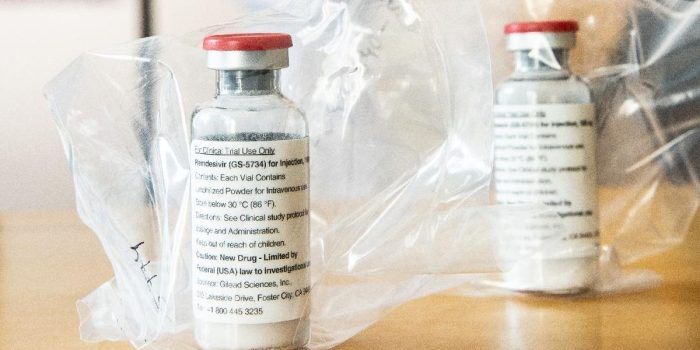 Berita WHO Tetapkan Wabah Ebola di Kongo dan Uganda sebagai PHEIC