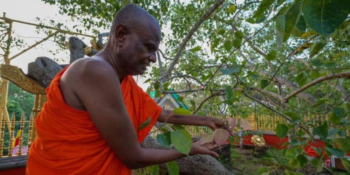 Berita Biksu di Sri Lanka Tertuduh Lecehkan Gadis 11 Tahun Kini Dicopot