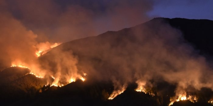 Resmi: Seluruh Pintu Masuk Wisata Gunung Bromo Ditutup Total Akibat Kebakaran